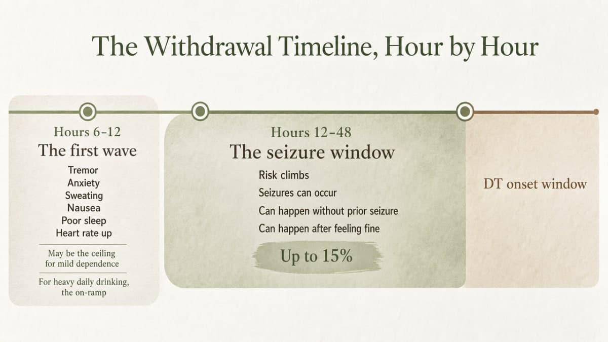 Visualize the cited hour-by-hour progression of alcohol withdrawal, including the seizure window and DT onset window referenced in the section prose