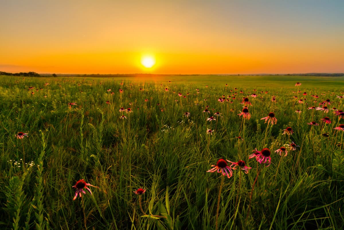 Oklahoma City Detox with Private Insurance
