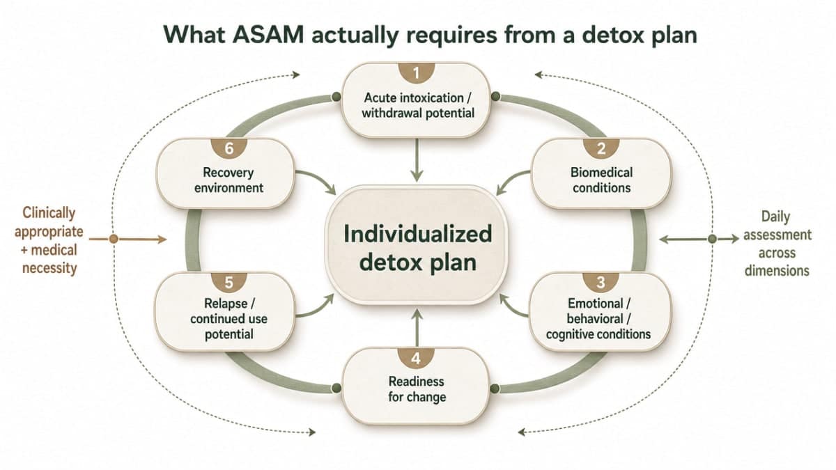 Visualize the six ASAM assessment dimensions cited in this section as the framework for an individualized detox plan