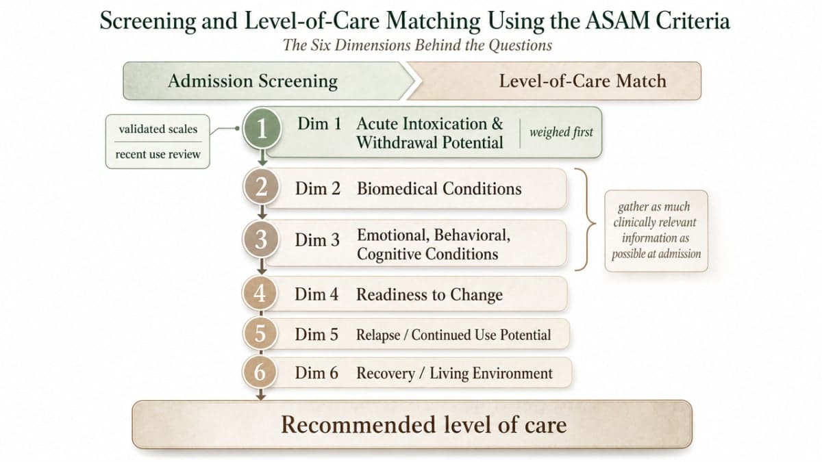 Visualize the six ASAM dimensions used at admission to match patients to the correct level of care, directly supporting the section that walks through each dimension