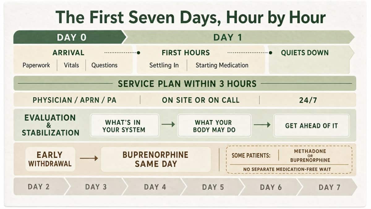 Visualize the day-by-day medical detox journey described in the section's four subheadings, giving readers a scannable map of what to expect across the week